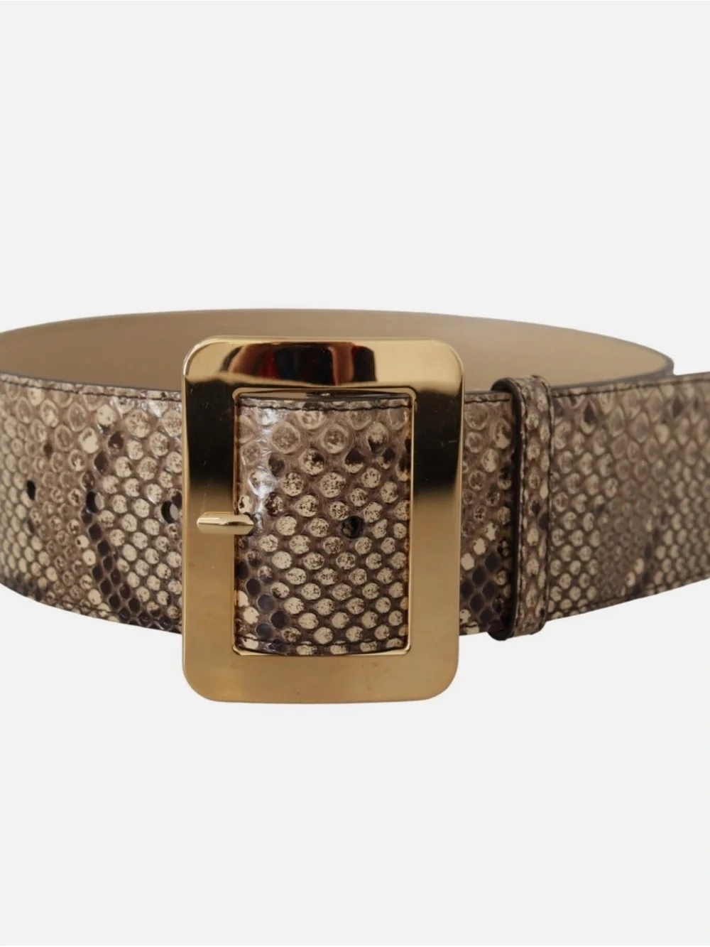 Dolce & Gabbana Exclusive Exotic Wide Waist Python Leather Belt 65cm